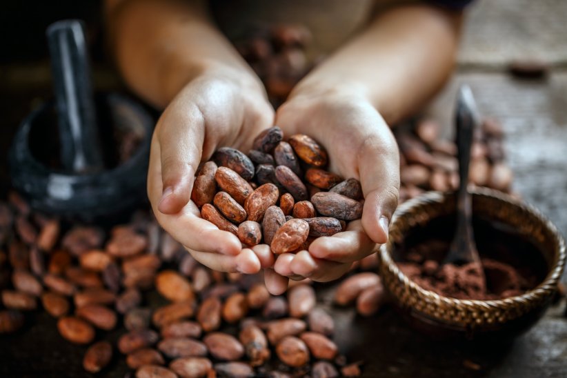 Le chocolat Le chocolat