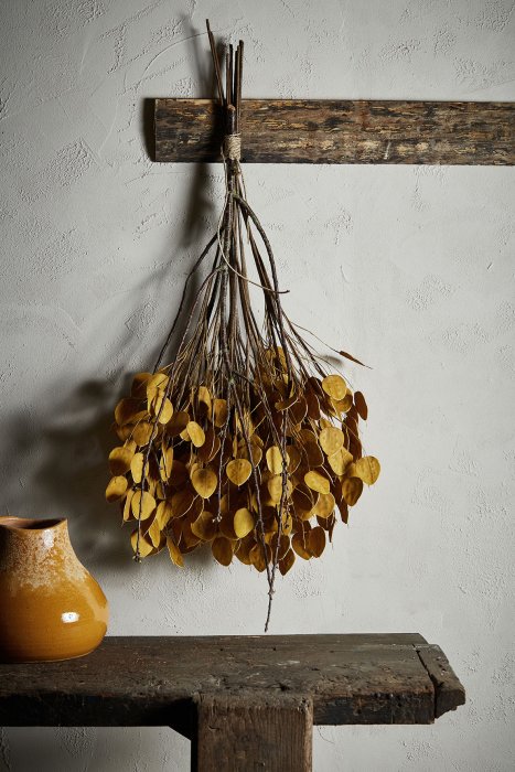 Accrocher des plantes et fleurs séchées Accrocher des plantes et fleurs séchées