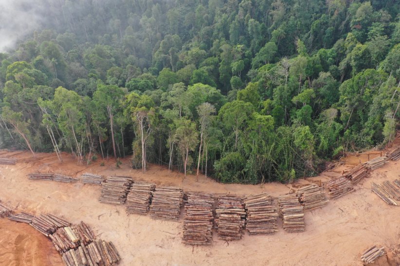 L'impact sur le changement climatique L'impact sur le changement climatique