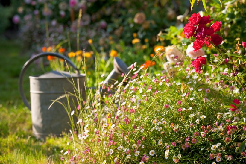 Cultiver un jardin sans pesticides Cultiver un jardin sans pesticides