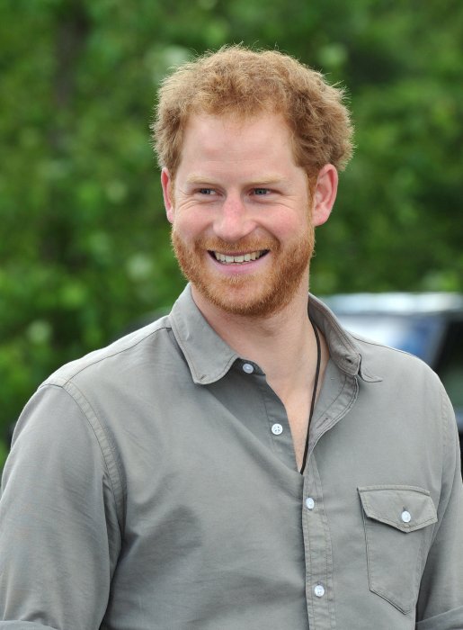 La polémique autour de l'identité du père du prince Harry La polémique autour de l'identité du père du prince Harry