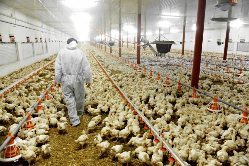3 producteurs plus pollueurs que toute la population française 3 producteurs plus pollueurs que toute la population française