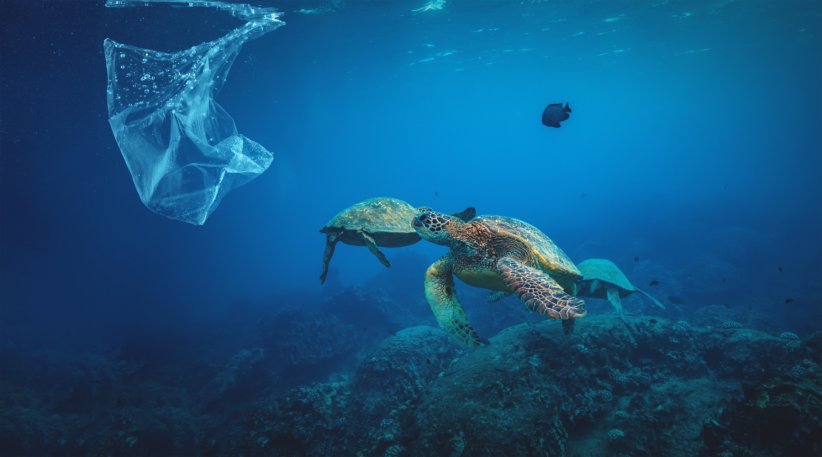 Bannir le plastique à usage unique Bannir le plastique à usage unique