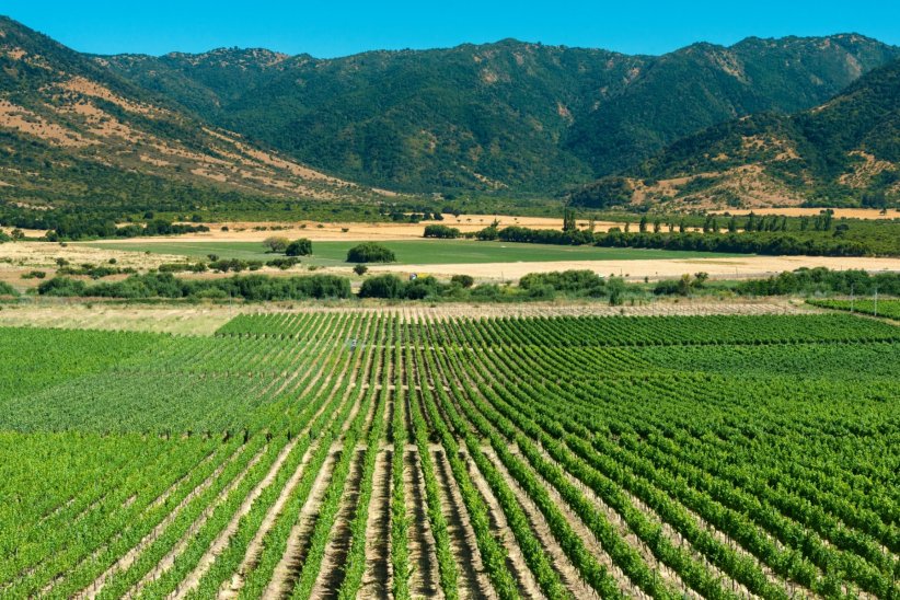 La vallée de Colchagua, au Chili La vallée de Colchagua, au Chili