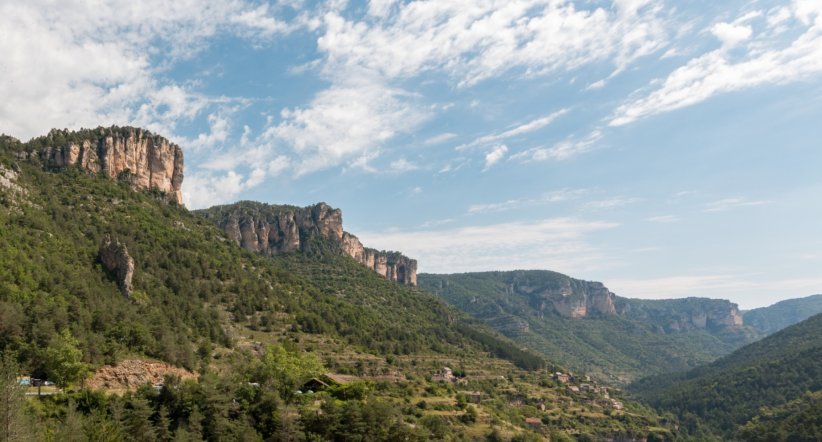 Les gorges de la Jonte Les gorges de la Jonte