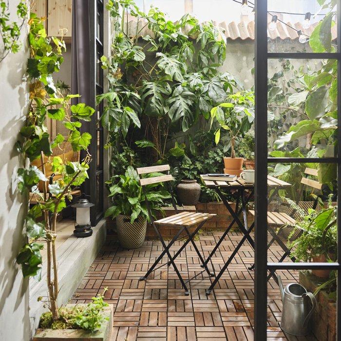Jungle urbaine Jungle urbaine