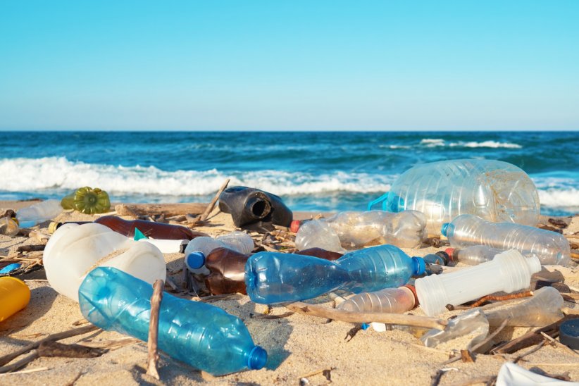 Bientôt plus de plastiques que de poissons Bientôt plus de plastiques que de poissons