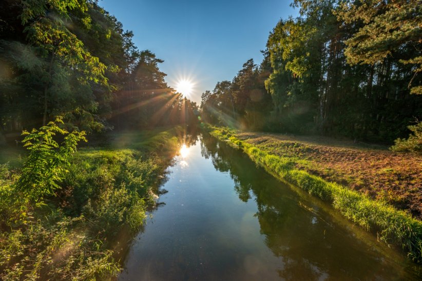 La forêt de Tuchola La forêt de Tuchola