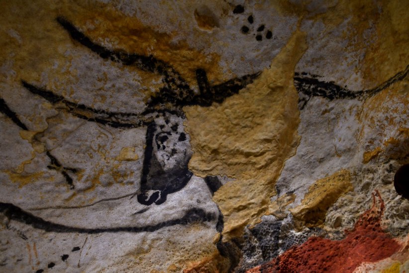 Les grottes de Lascaux en 1940 Les grottes de Lascaux en 1940