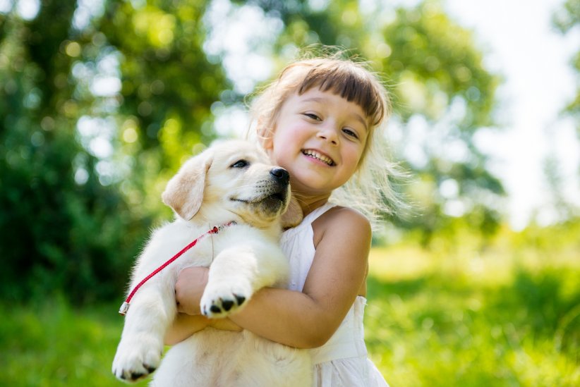 Établir un bon contact entre enfants et animaux Établir un bon contact entre enfants et animaux