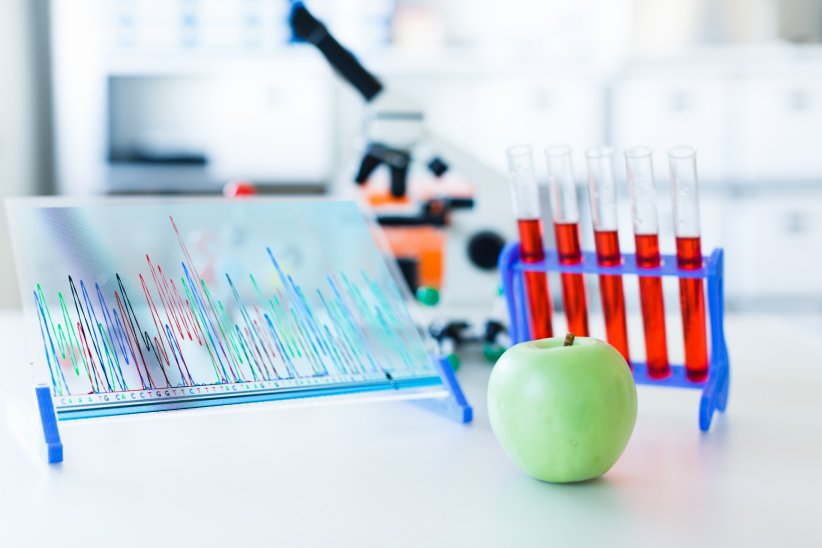 OGM et résistance aux antibiotiques OGM et résistance aux antibiotiques
