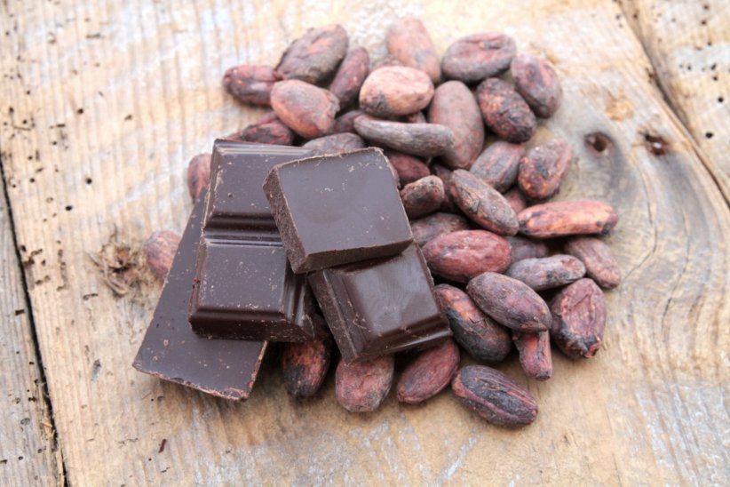 Acheter du chocolat équitable Acheter du chocolat équitable
