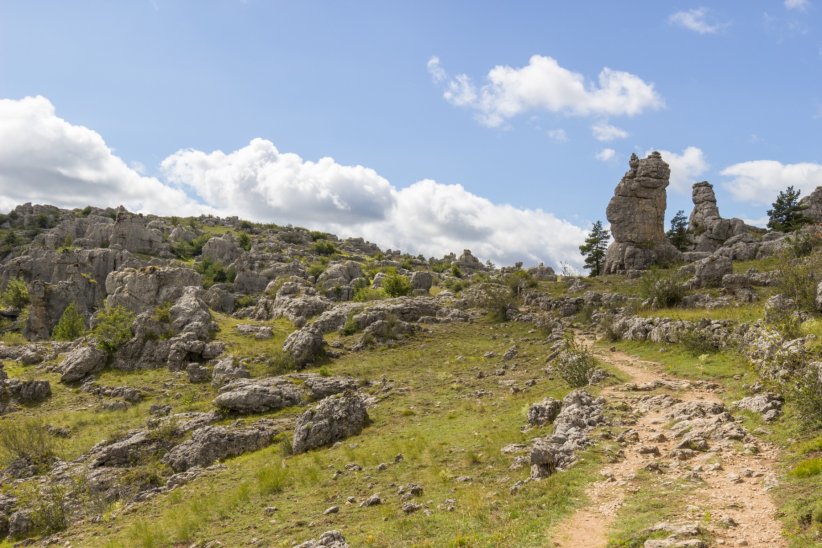 Découvrir la vie sauvage en se baladant dans le parc naturel des Cévennes Découvrir la vie sauvage en se baladant dans le parc naturel des Cévennes