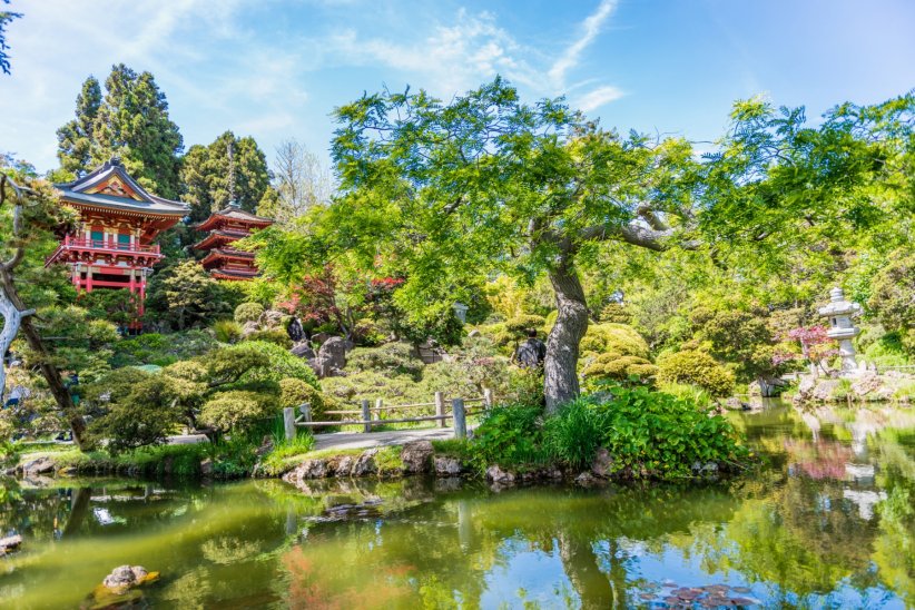 En prendre plein les yeux au Japanese Tea Garden En prendre plein les yeux au Japanese Tea Garden