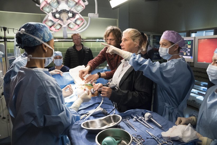 "Grey's Anatomy" : un record de longévité "Grey's Anatomy" : un record de longévité