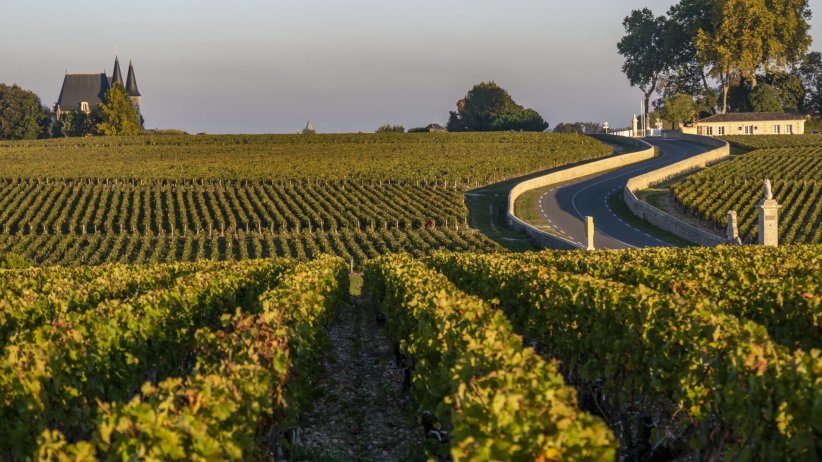La Route des Châteaux, Médoc La Route des Châteaux, Médoc