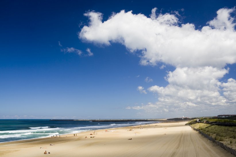 Anglet : les Cavaliers Anglet : les Cavaliers