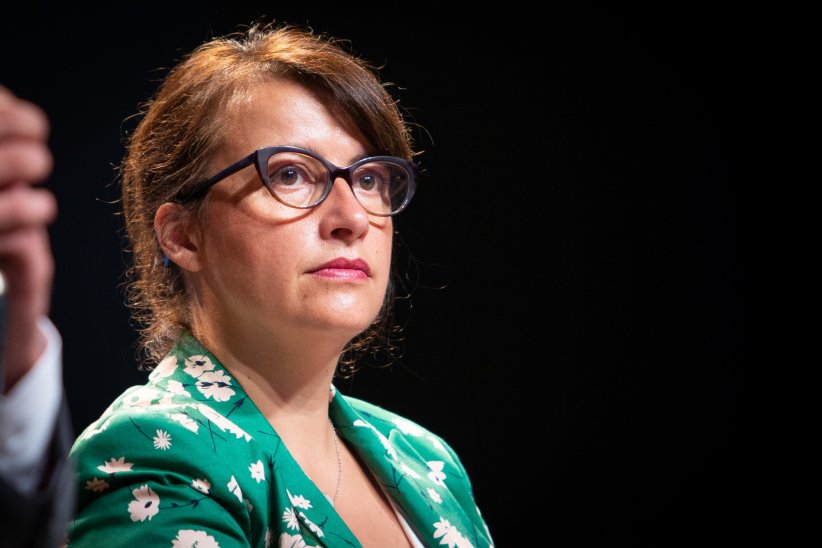 Cécile Duflot accuse l'ex-député Denis Baupin d'agression sexuelle Cécile Duflot accuse l'ex-député Denis Baupin d'agression sexuelle
