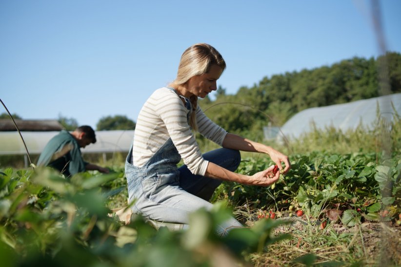 Aider dans les champs Aider dans les champs