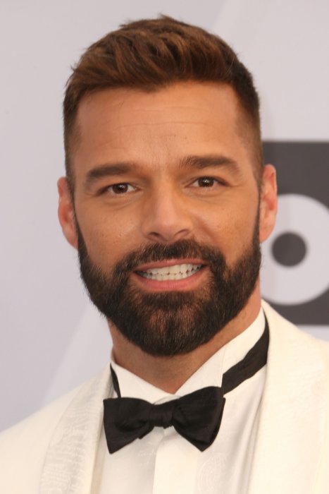 Ricky Martin, papa grâce à une mère porteuse Ricky Martin, papa grâce à une mère porteuse