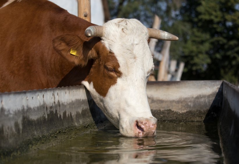 Plus de 20% de l'eutrophisation des eaux Plus de 20% de l'eutrophisation des eaux