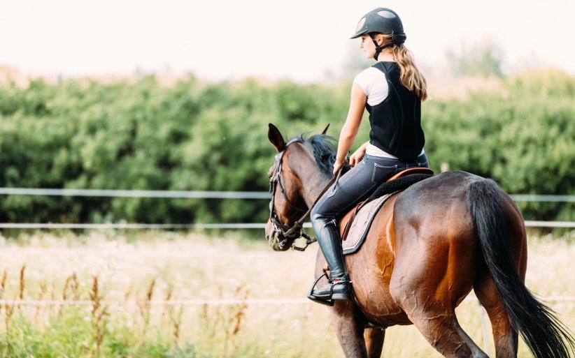 À cheval avec l'équitation À cheval avec l'équitation