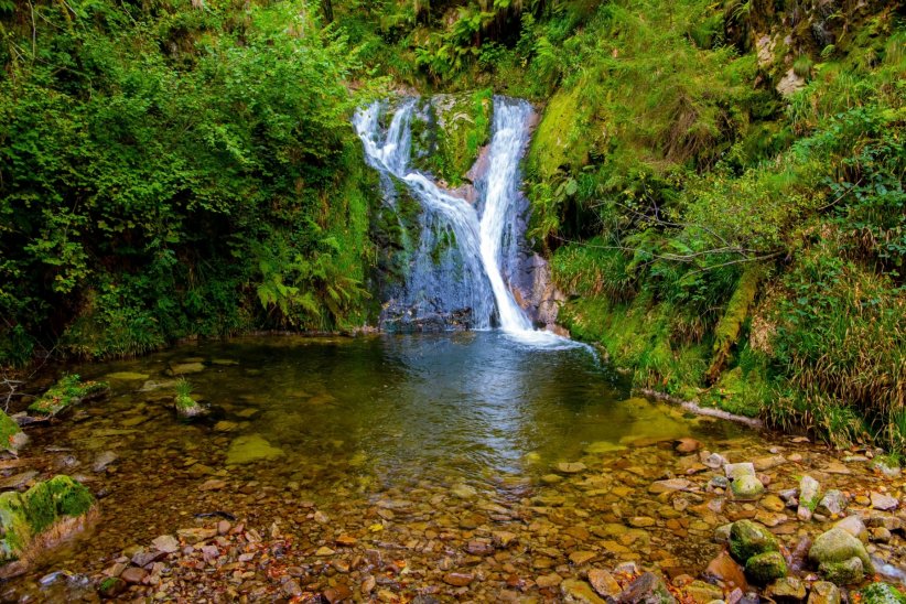 Les cascades d'Allerheiligen en Allemagne Les cascades d'Allerheiligen en Allemagne