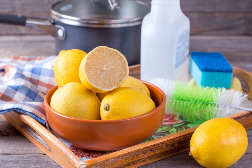 Le citron est votre allié Le citron est votre allié