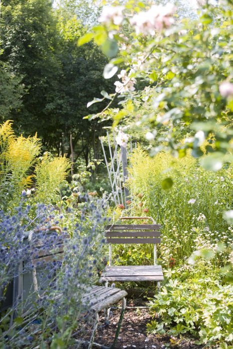 Un jardin bucolique où s'évader Un jardin bucolique où s'évader