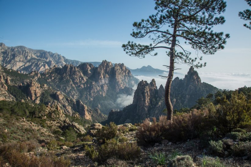 Le parc naturel de Corse : pour les amoureux des tortues Le parc naturel de Corse : pour les amoureux des tortues