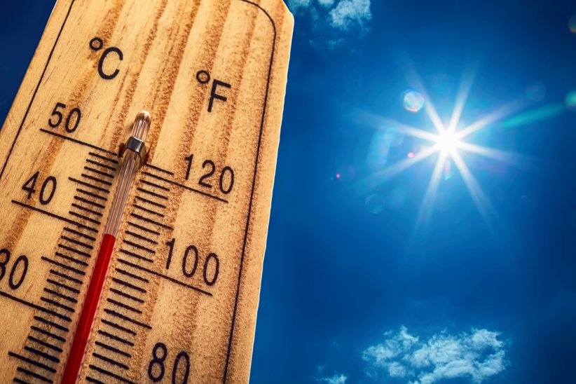Ne sortez pas aux heures les plus chaudes Ne sortez pas aux heures les plus chaudes
