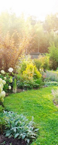 Pesticides : quelles alternatives plus écologiques ?