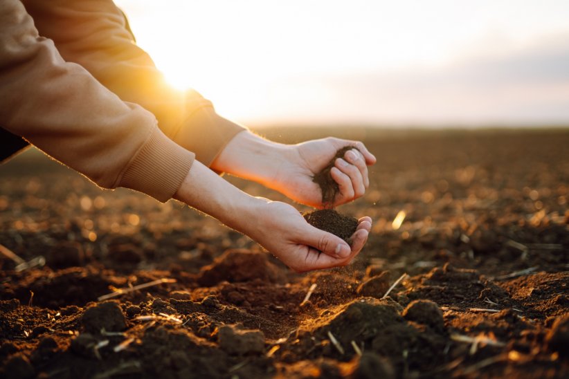 Cela préserve l'état des sols Cela préserve l'état des sols