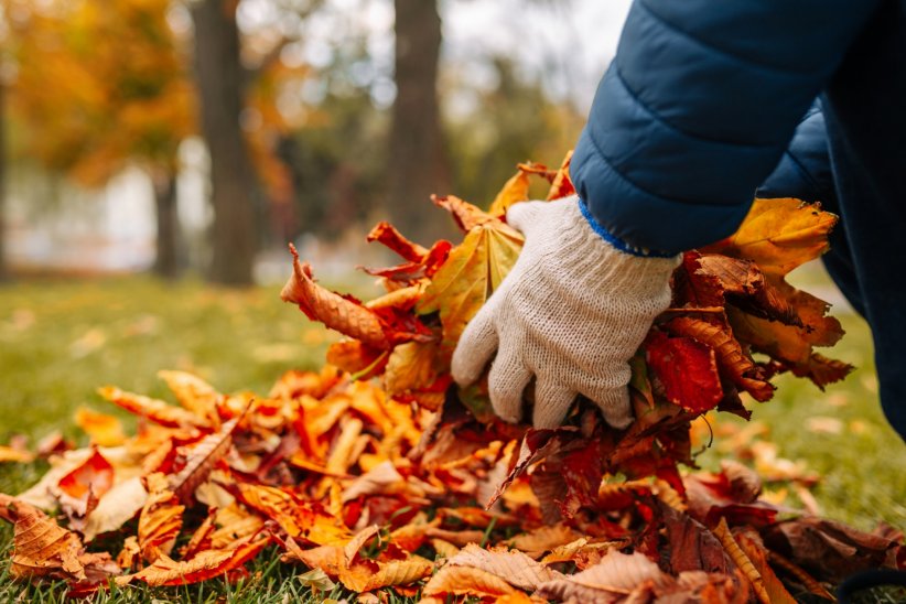 Ramassez les feuilles mortes Ramassez les feuilles mortes