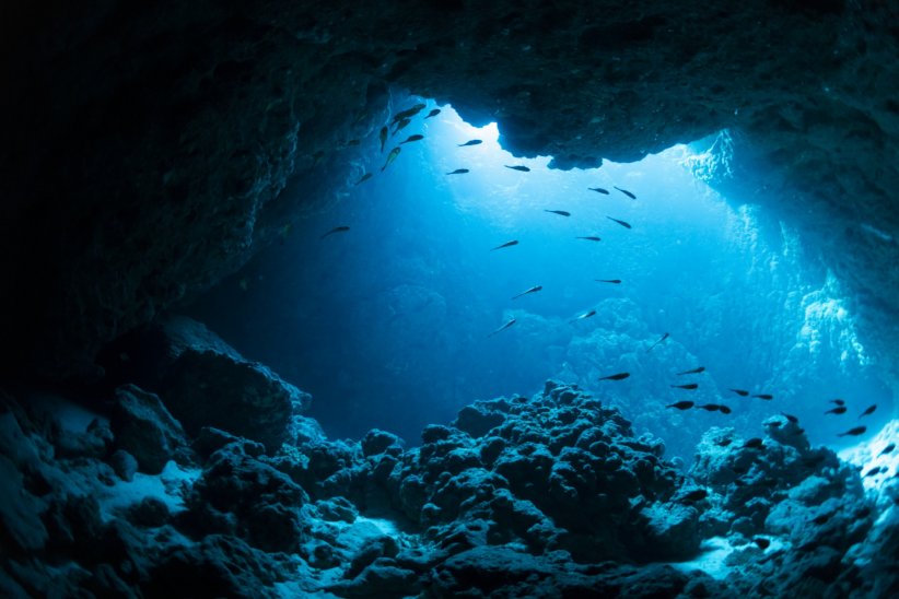 20 000 lieues sous les mers 20 000 lieues sous les mers