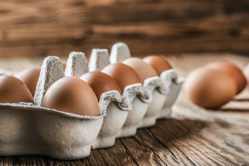 Les oeufs, pour bien nourrir les muscles Les oeufs, pour bien nourrir les muscles