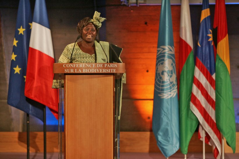 Wangari Maathai : l'une des figures du développement durable Wangari Maathai : l'une des figures du développement durable
