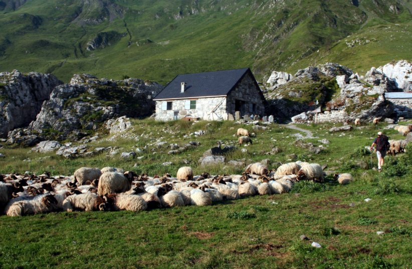 La vallée d'Ossau et ses charmantes communes (Pyrénées-Atlantiques) La vallée d'Ossau et ses charmantes communes (Pyrénées-Atlantiques)