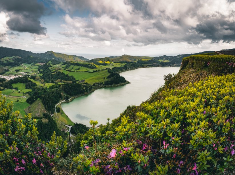 La forêt de Furnas aux Açores, Portugal La forêt de Furnas aux Açores, Portugal