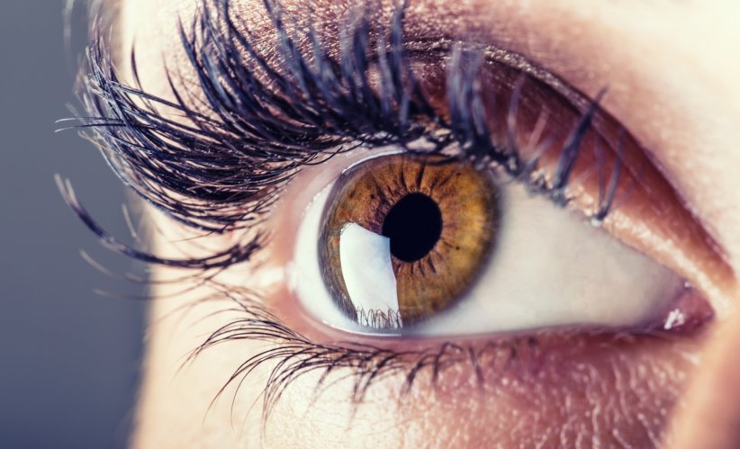 Des implants pour retrouver la vue Des implants pour retrouver la vue