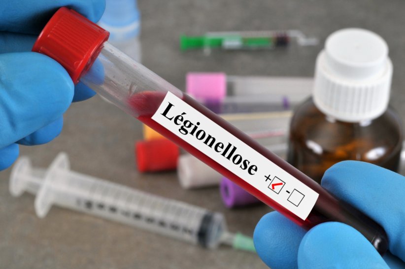 La légionellose La légionellose