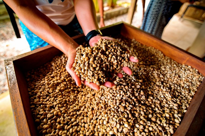 Privilégier le café bio et équitable Privilégier le café bio et équitable