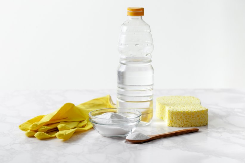 Le vinaigre blanc Le vinaigre blanc