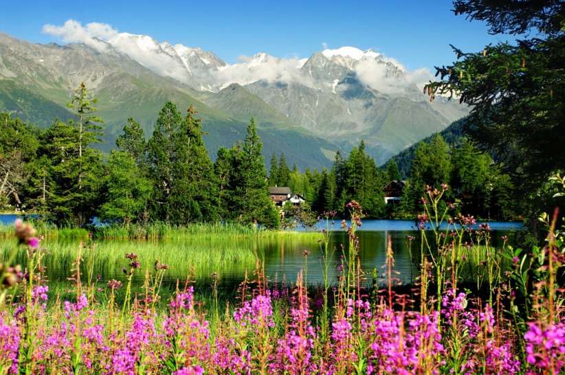 Les Alpes, le voyage mystérieux de de Vinci Les Alpes, le voyage mystérieux de de Vinci