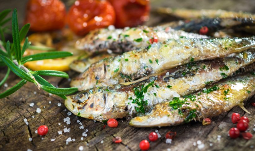 La sardine, un concentré d'oméga 3 La sardine, un concentré d'oméga 3