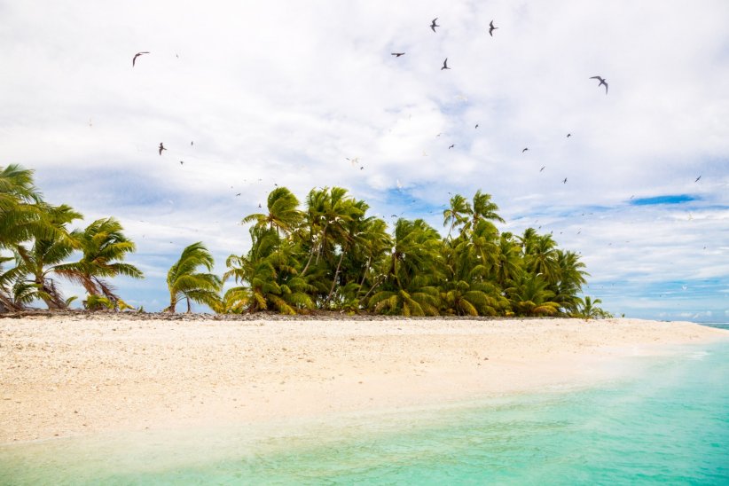 Les Tuvalu Les Tuvalu