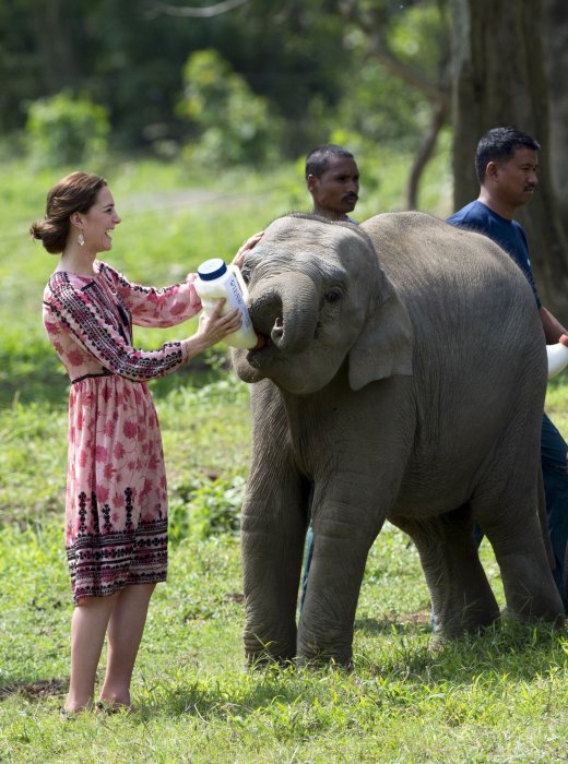 Kate Middleton en voyage officiel en Inde Kate Middleton en voyage officiel en Inde