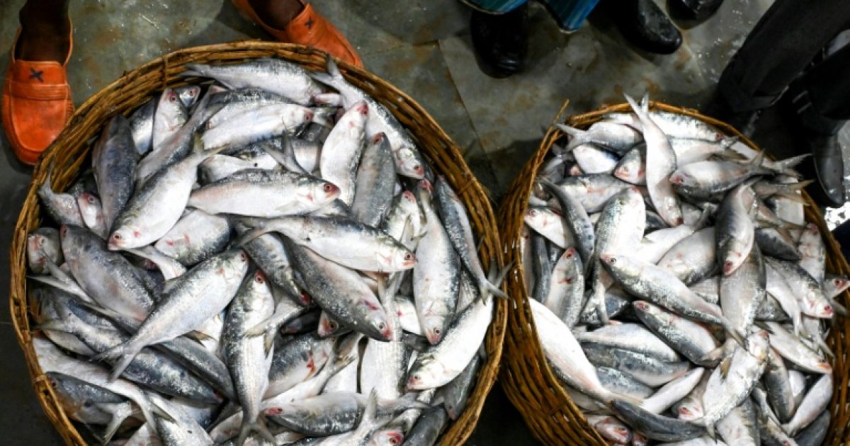 भारत: जब भोजन स्थानीय चुनावों के मेनू पर है