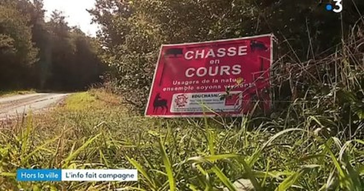 アリエージュ州で 4 頭の犬の死を引き起こした、恐ろしいオージェスキー病、この犬殺しウイルスとは何ですか?ワクチンはヨーロッパに存在するが、フランスでは利用できない：ニュース