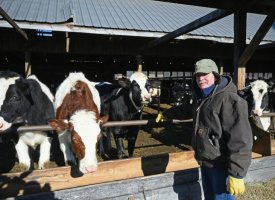 Aux Etats-Unis, un petit agriculteur laitier cumule les heures pour résister